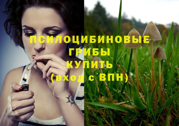 2c-b Зеленокумск