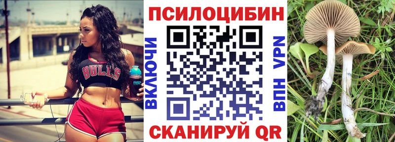 Галлюциногенные грибы прущие грибы  Купить где  Боготол 