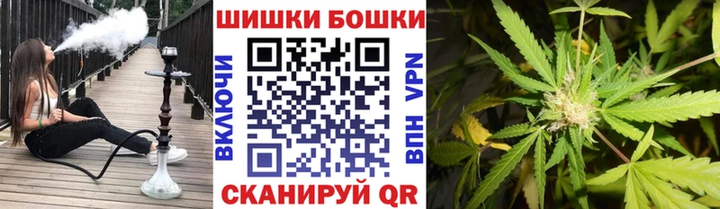 Шишки марихуана сатива  Купить где  Боготол 